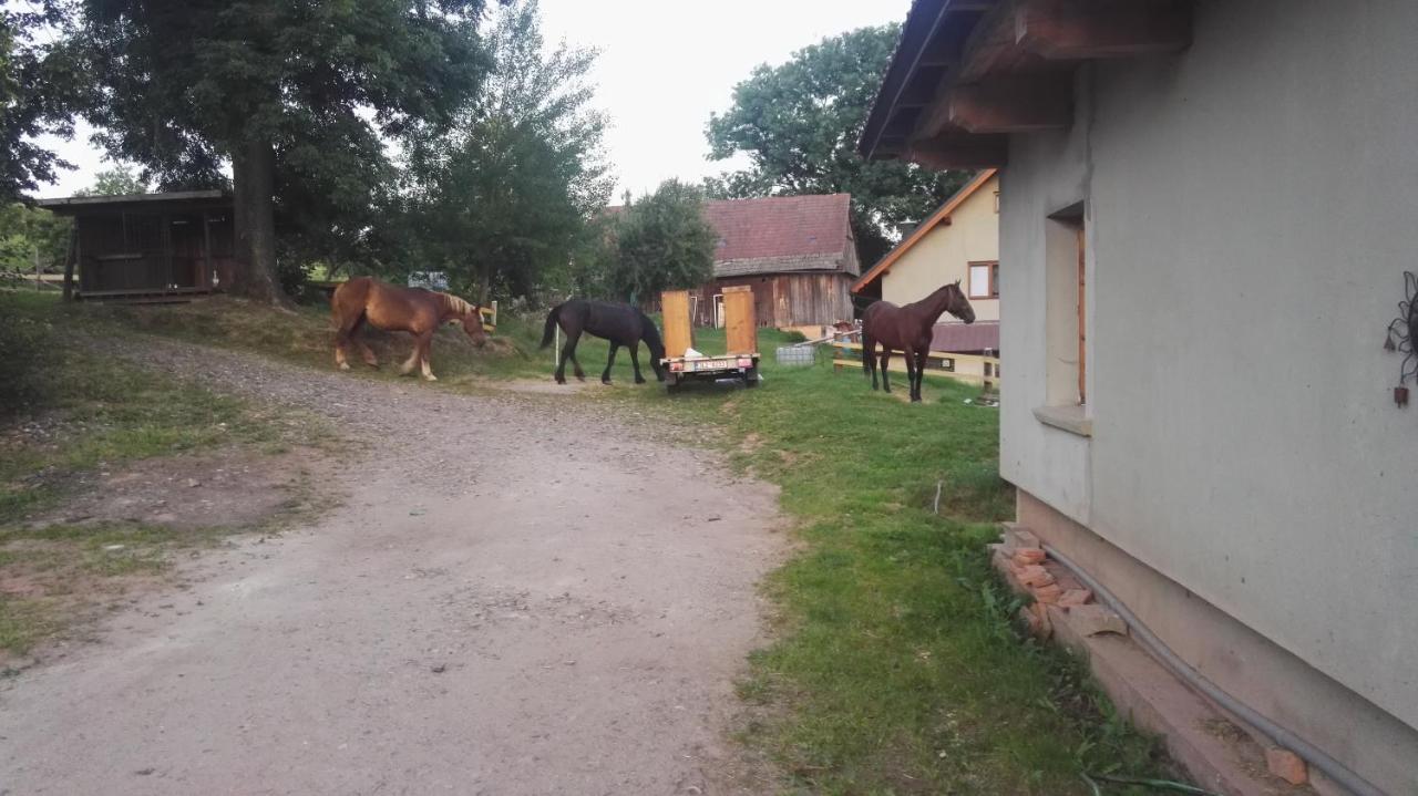 Farma Hermina Jilemnice Esterno foto